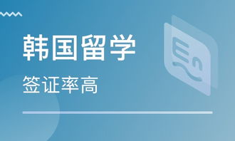 石家莊自費留學(xué)韓國 如何選擇可靠的中介服務(wù)